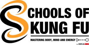 Kung fu dark logo